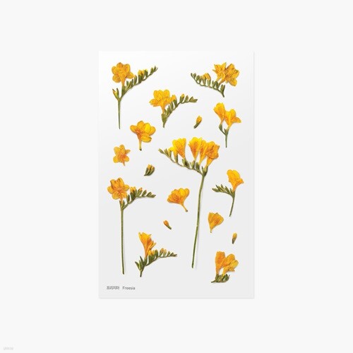 압화스티커_프리지아