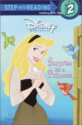 Surprise for a Princess