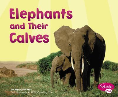 Elephants and Their Calves