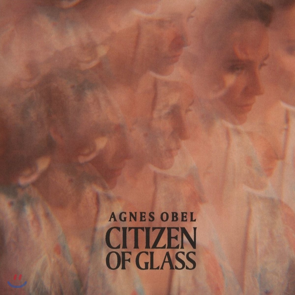 Agnes Obel (아그네스 오벨) - 3집 Citizen Of Glass