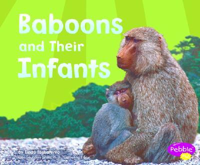 Baboons and Their Infants