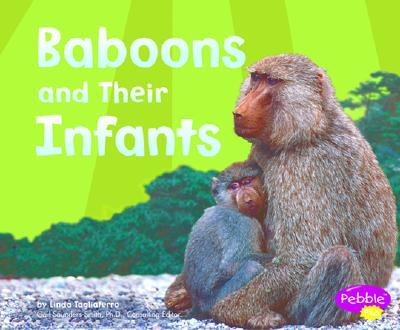 Baboons and Their Infants | Tagliaferro | Pebble Plus Books - 예스24