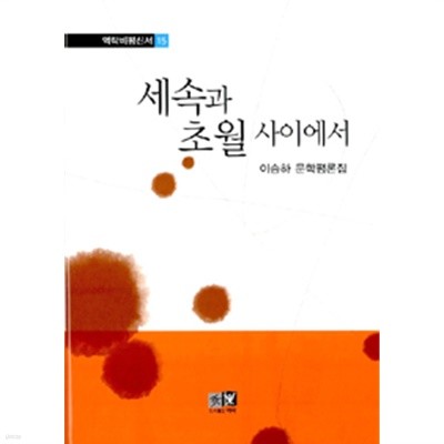 세속과 초월 사이에서 - 이승하 문학평론집 (양장/인문)