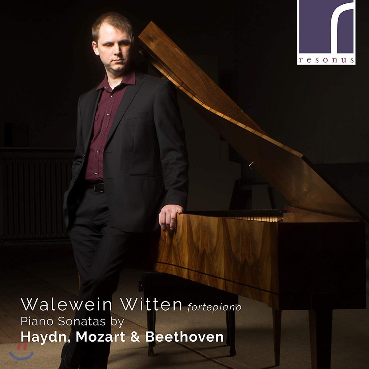 Walewein Witten 하이든 / 모차르트 / 베토벤: 피아노 소나타 (Haydn / Mozart / Beethoven: Piano Sonatas)