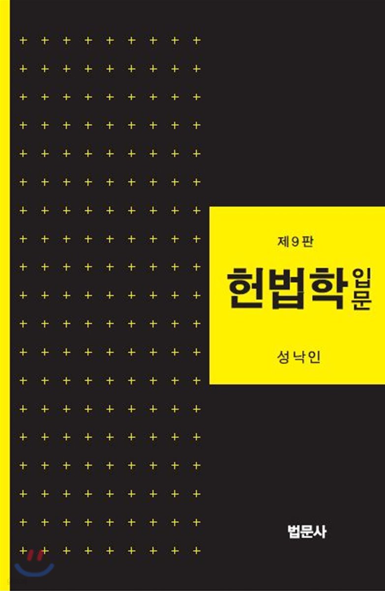 헌법학입문
