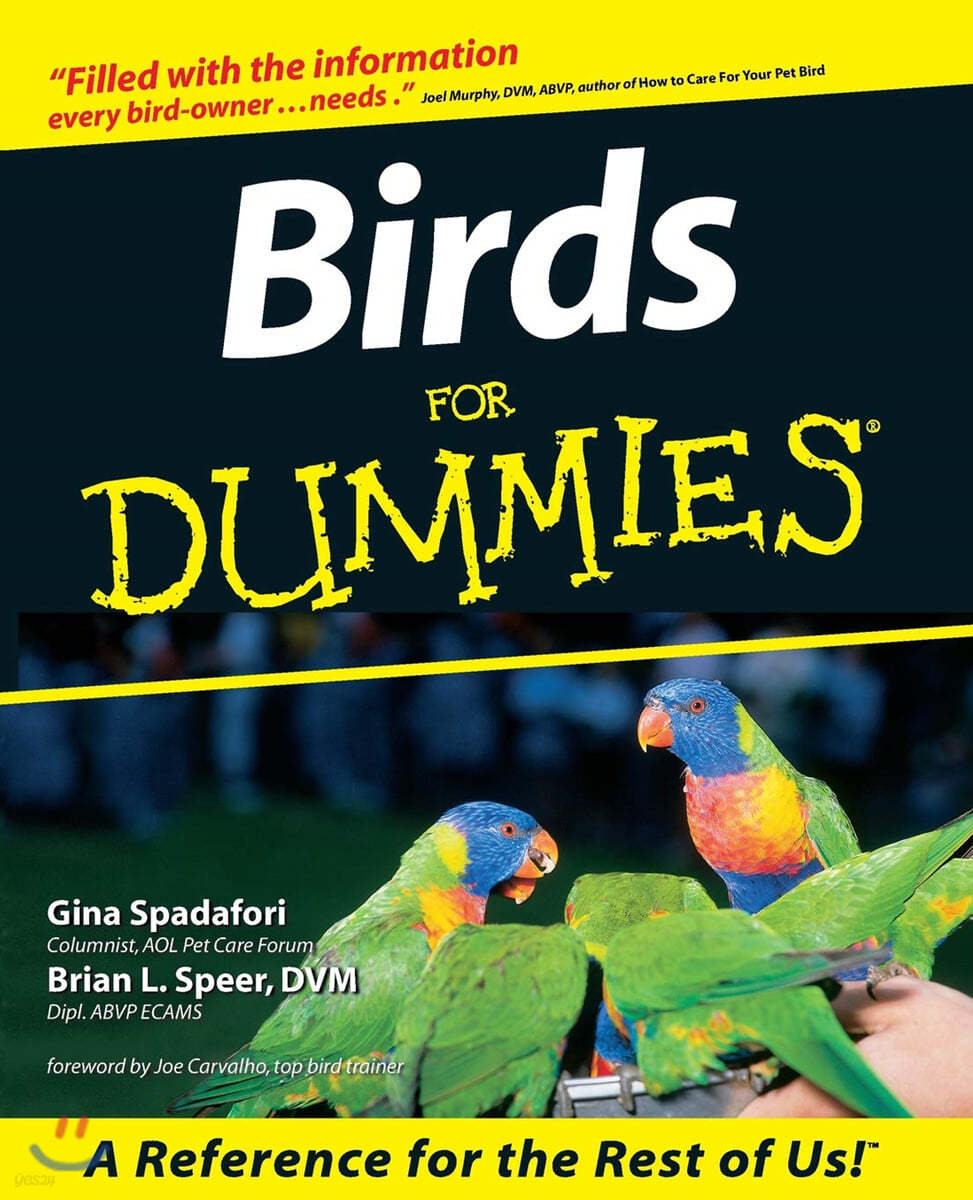 Birds for Dummies