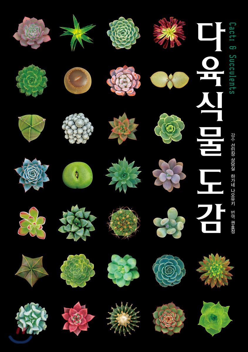 다육식물도감 - 예스24