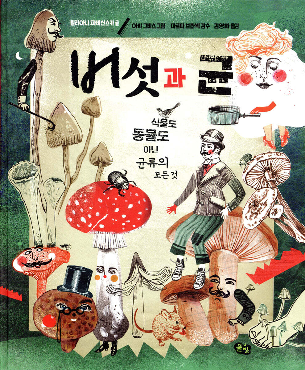 버섯과 균 (빅북)