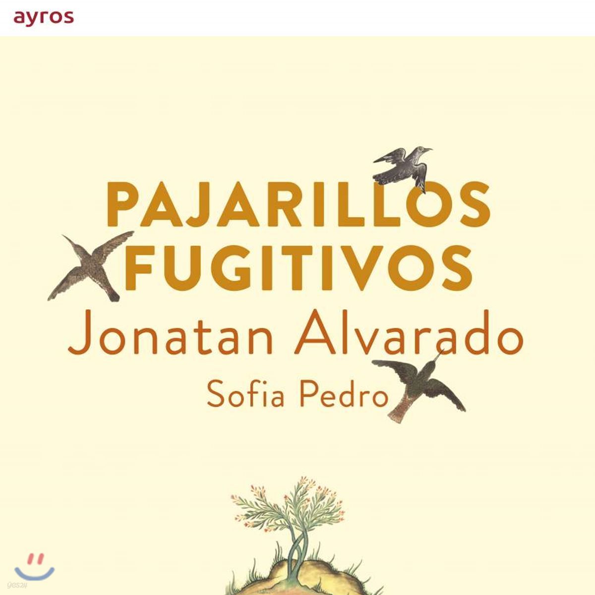Jonatan Alvarado / Sofia Pedro 자유의 새 - 스페인의 노래 (Pajarillos Fugitivos)