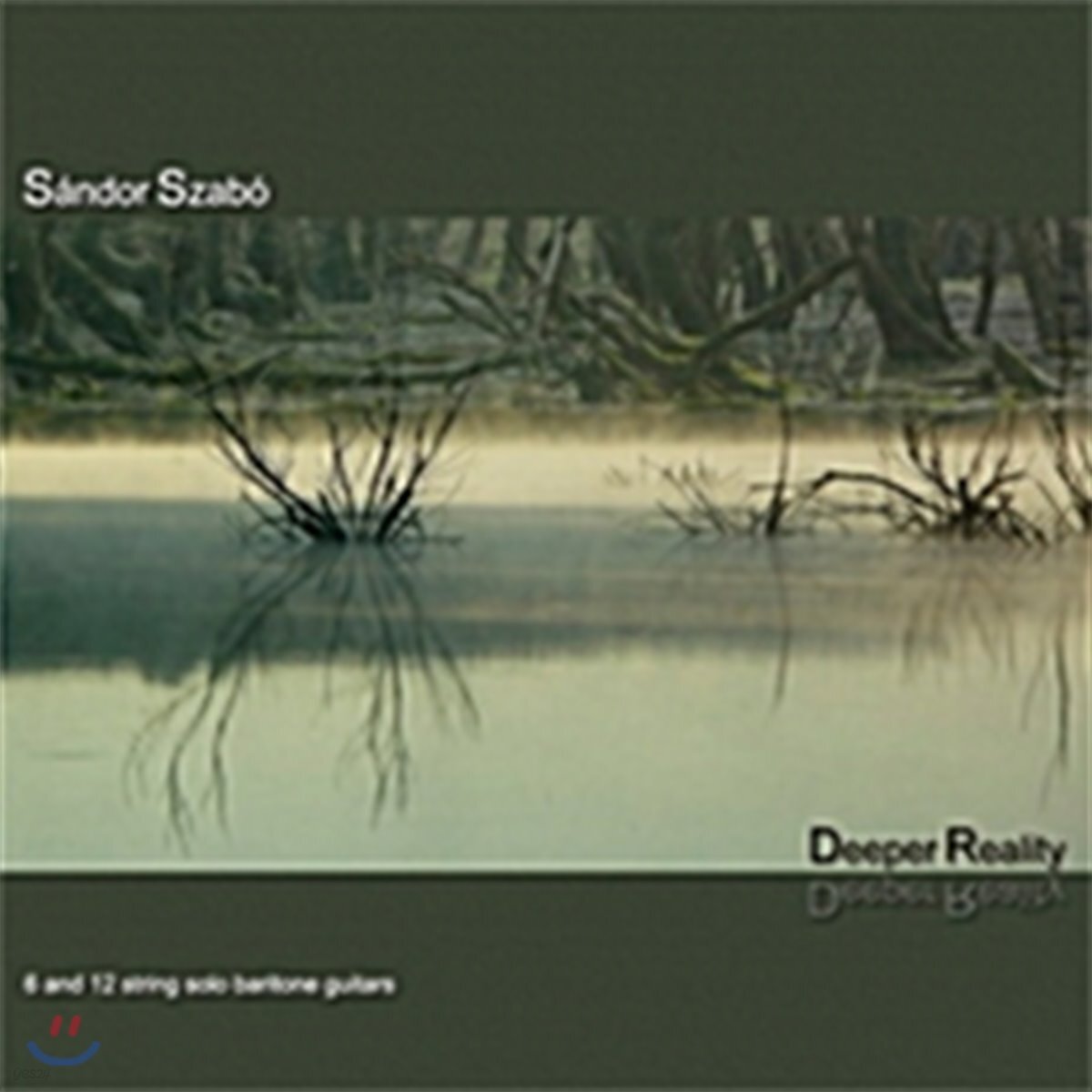 Sandor Szabo (산도르 자보) - Deeper Reality