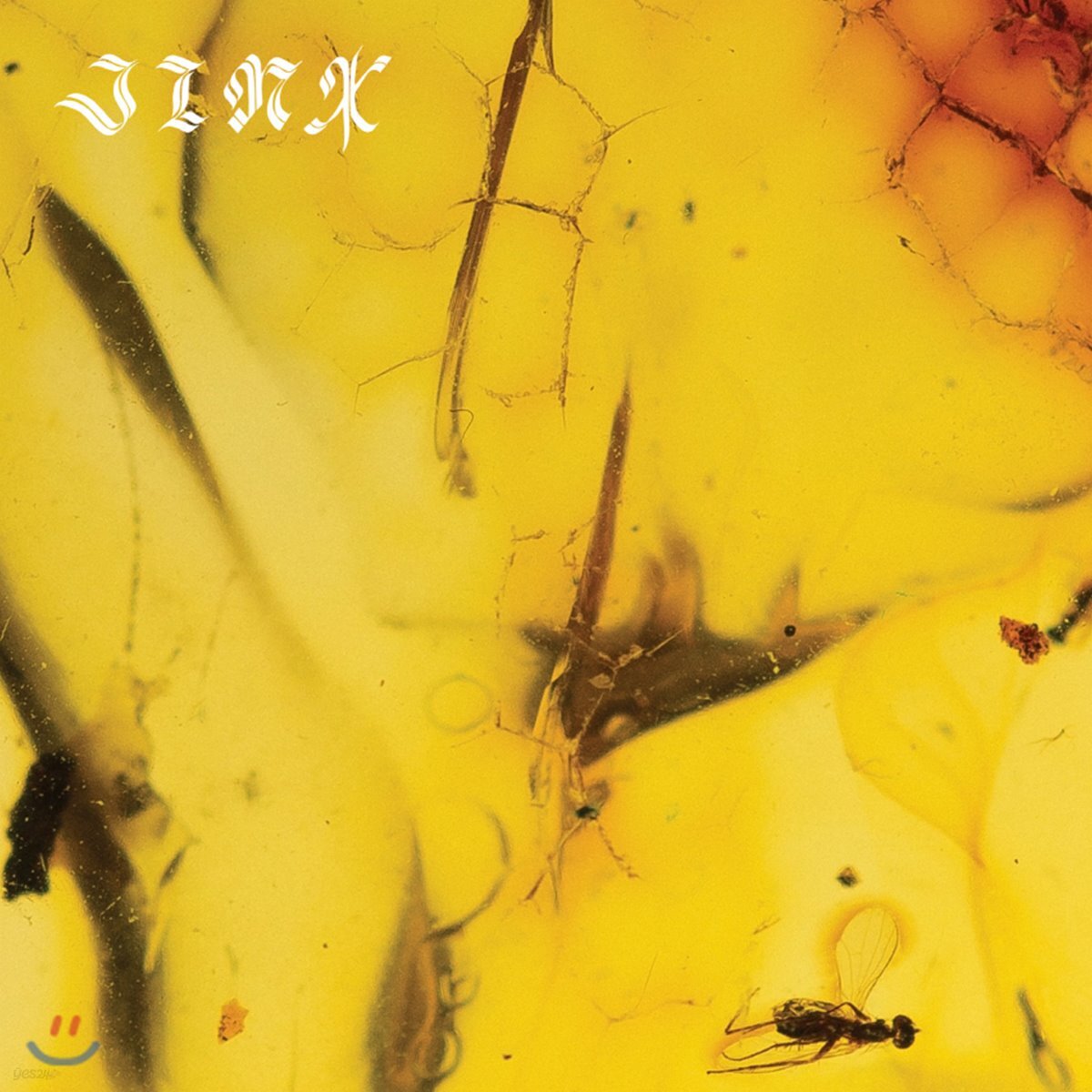Crumb (크럼) - Jinx 정규 1집