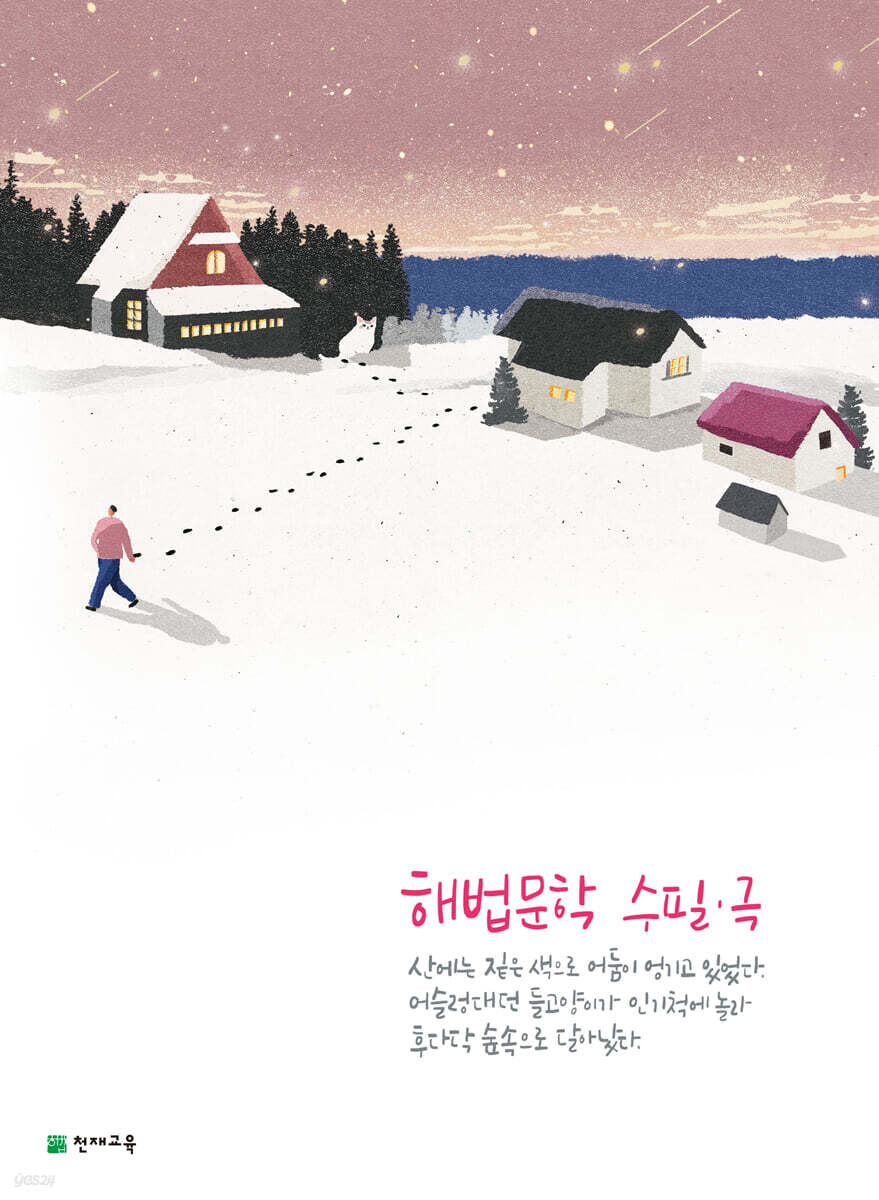 해법 문학 수필 · 극 (2025년용)