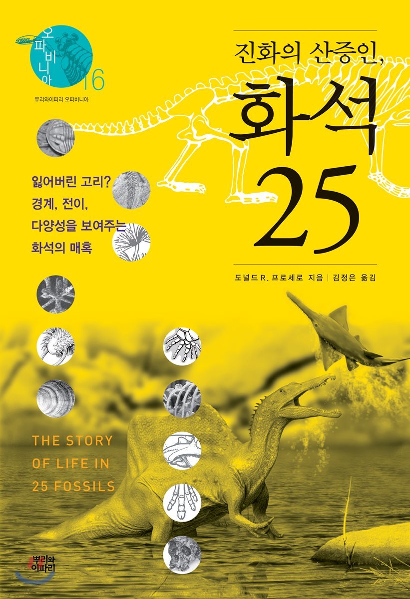 진화의 산증인, 화석 25