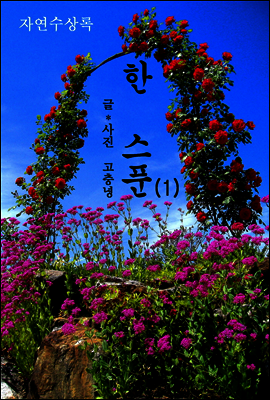 한스푼 1