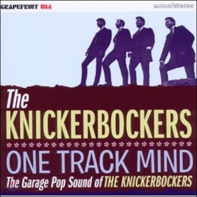 Knickerbockers - One Track Mind