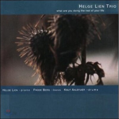 Helge Lien Trio - What Are You Doing The Rest Of Your Life
