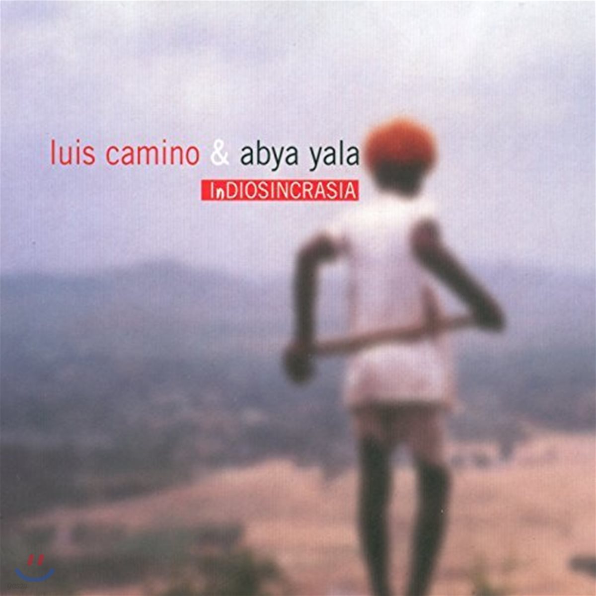 Luis Camino & Abya Yala - Indiosincrasia