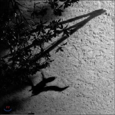Max Richter — The Blue Notebooks 앨범 커버