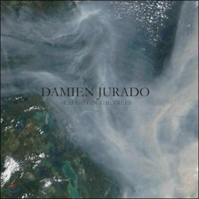 Damien Jurado — Caught In The Trees 앨범 커버