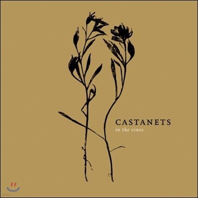 Castanets — In The Vines 앨범 커버