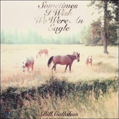 Bill Callahan ( Ķ) - Sometimes I Wish We Were An Eagle [LP]