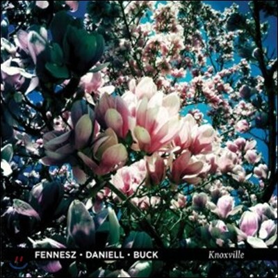 Fennesz / Deniell / Buck — Knoxville 앨범 커버