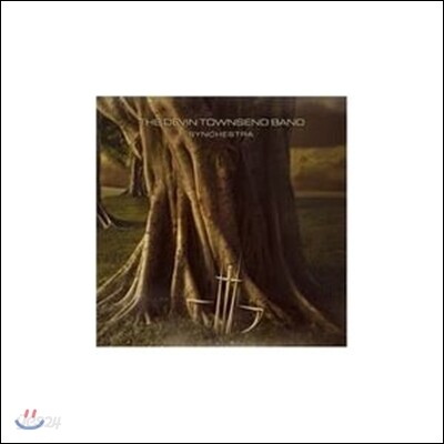 Devin Townsend Band - Synchestra [브라운 컬러 2 LP]
