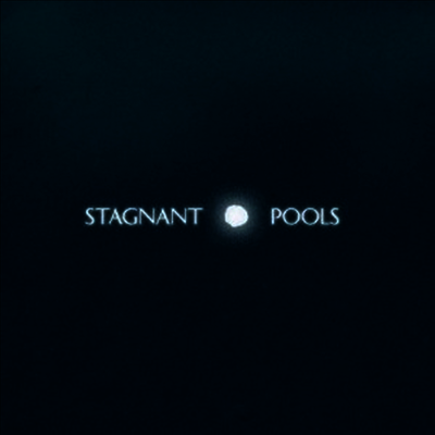 Stagnant Pools — Temporary Room 앨범 커버