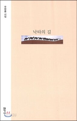 낙타의 길