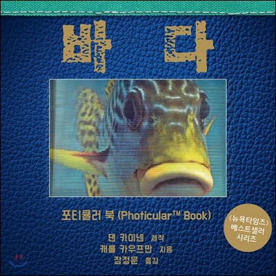 책 정보