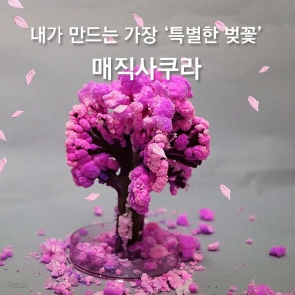 매직 사쿠라 요술 벚꽃나무 인테리어 소품