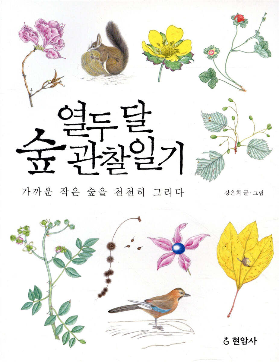 현암사  열두달 숲 관찰일기 가까운 작은 숲을 천천히 그리다