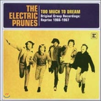 Electric Prunes - Too Much To Dream (Deluxe Edition)