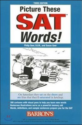 Picture These Sat Words