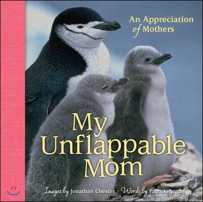 My Unflappable Mom: An Appreciation of Mothers Volume 4