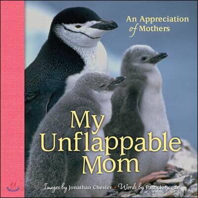 My Unflappable Mom: An Appreciation of Mothers Volume 4