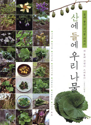 산에 들에 우리 나물