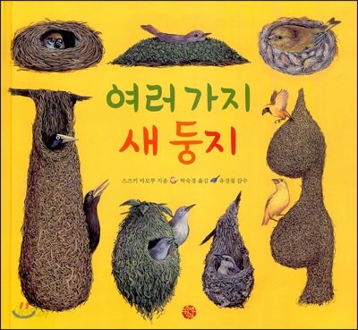여러가지 새 둥지