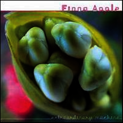 Fiona Apple — Extraordinary Machine (Limited Edition) 앨범 커버