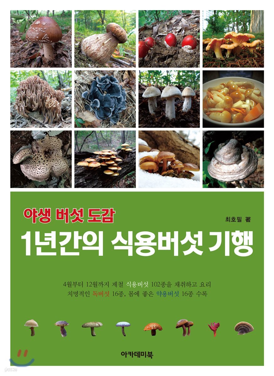 야생 버섯 도감 - 1년간의 식용버섯 기행