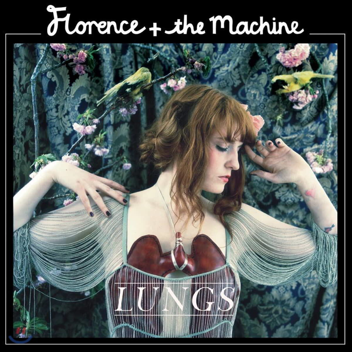 Florence + The Machine - Lungs 플로렌스 앤 더 머신 메이저 데뷔 앨범 [버건디 컬러 LP]