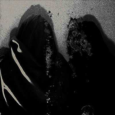 Fluisteraars - Luwte (LP)
