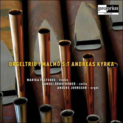 Anders Johnsson   ǰ (Orgeltrio I Malmo - S:T Andreas Kyrka)