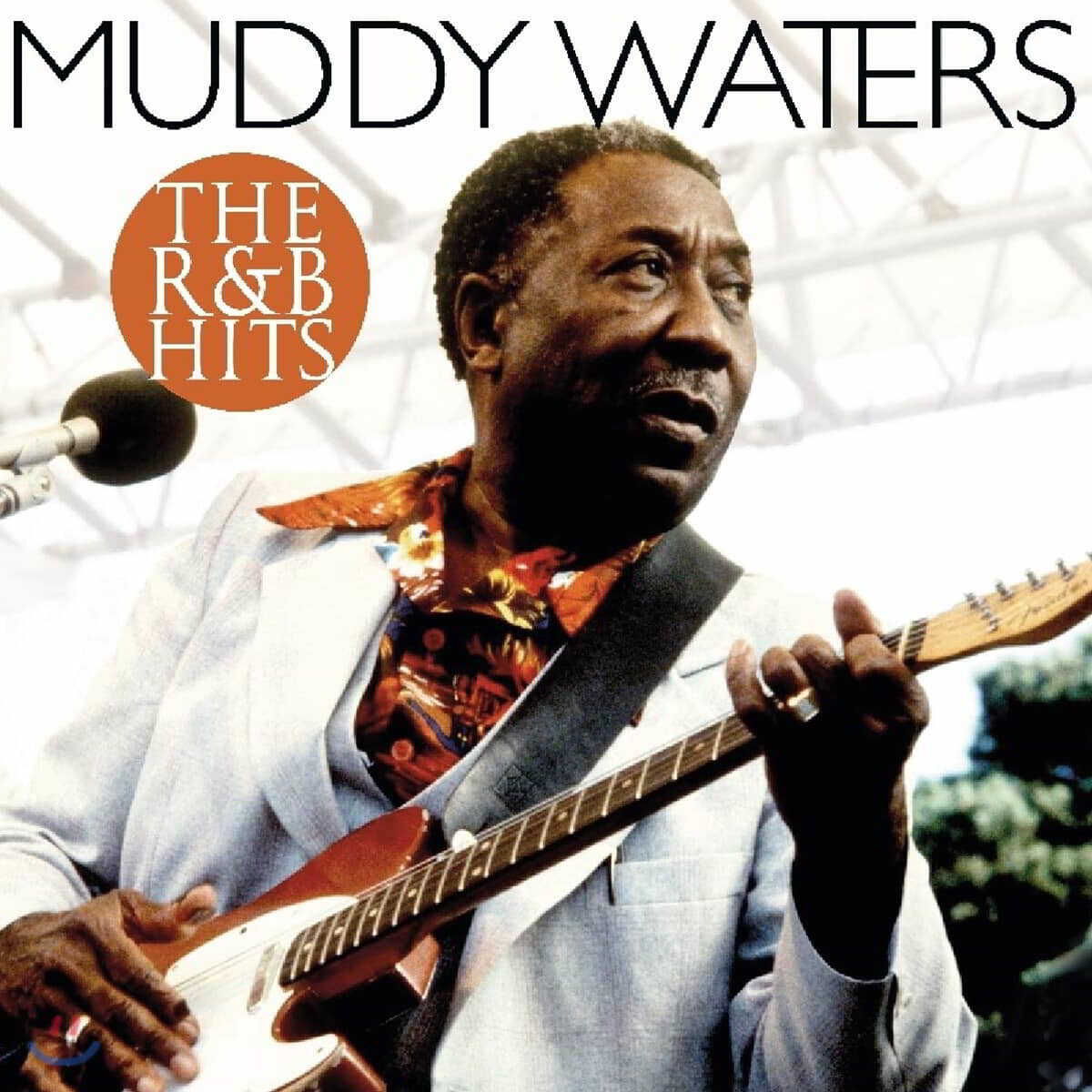 Muddy Waters (머디 워터스) - The R &amp; B Hits [LP]