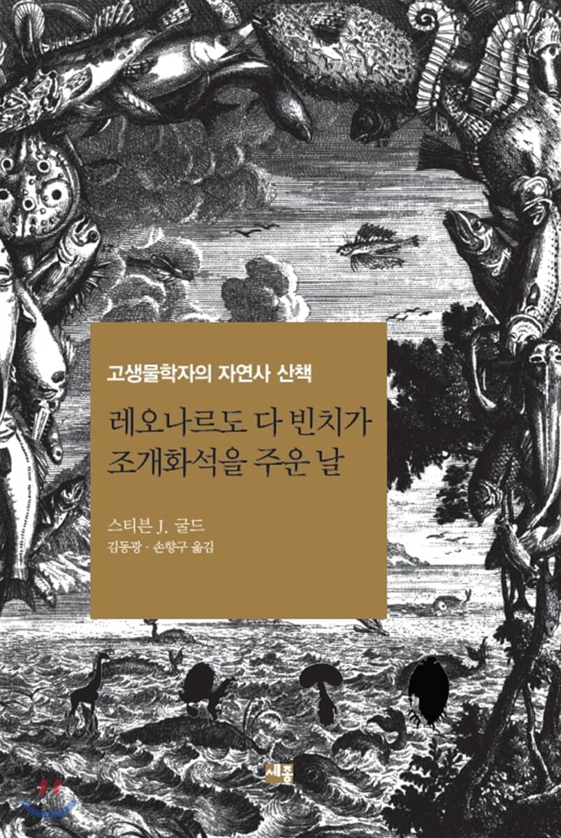 레오나르도 다 빈치가 조개화석을 주운 날