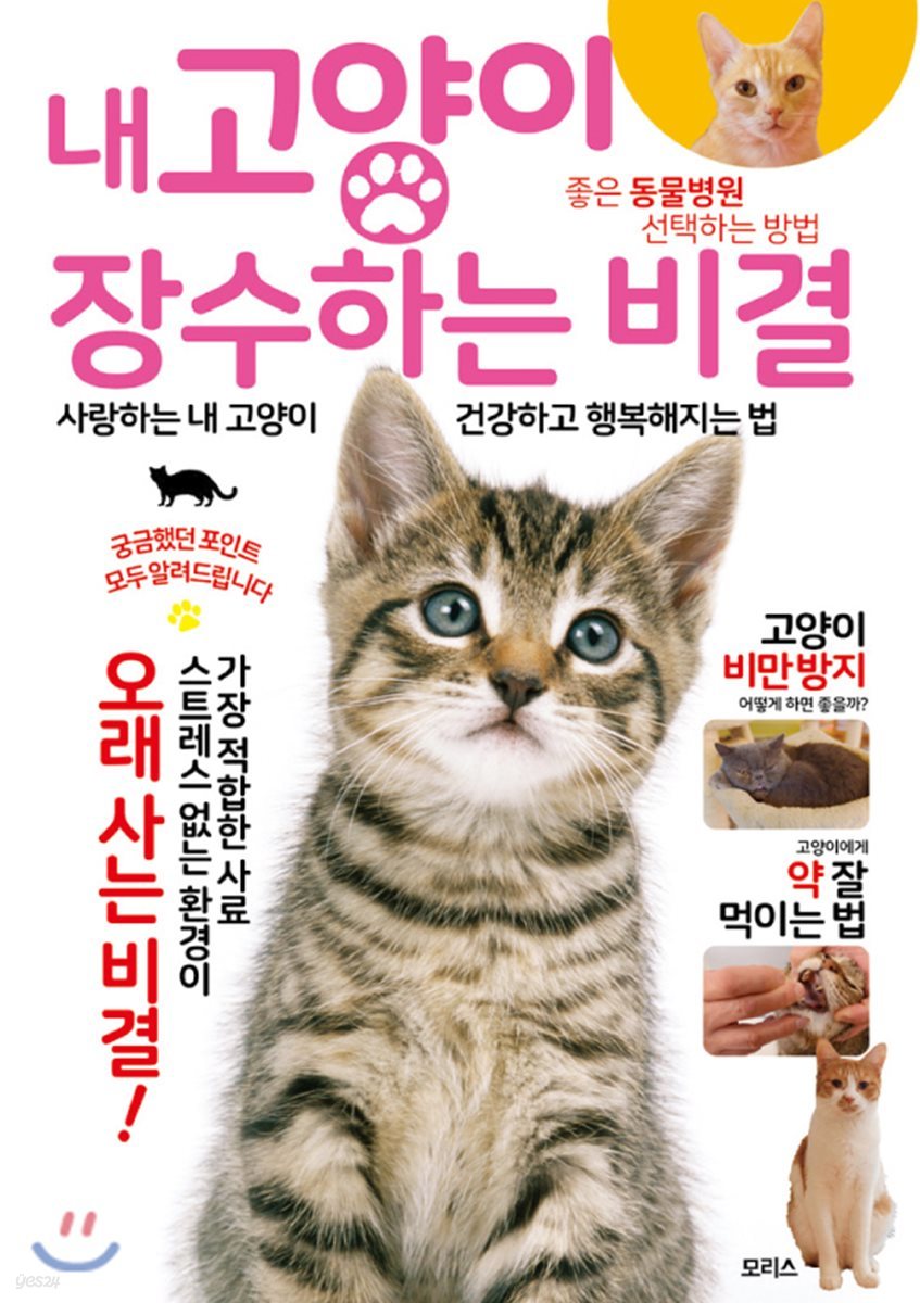 내 고양이 장수하는 비결