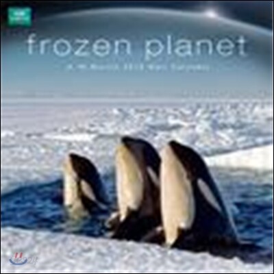 BBC Earth : Frozen Planet 2013 Linen Wall Calendar