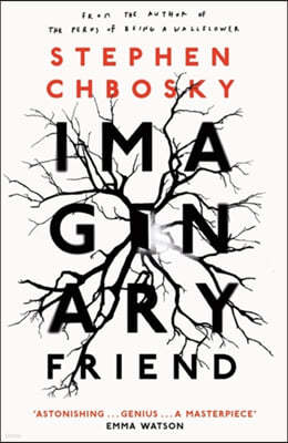 Imaginary Friend