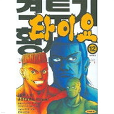 격투기황제타이요(완결) 1~12  -스포츠 만화-