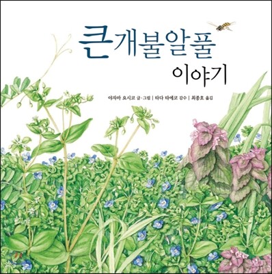 큰 개불알풀 이야기